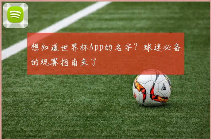 想知道世界杯App的名字？球迷必备的观赛指南来了