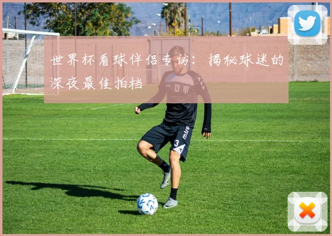 世界杯看球伴侣专访：揭秘球迷的深夜最佳拍档